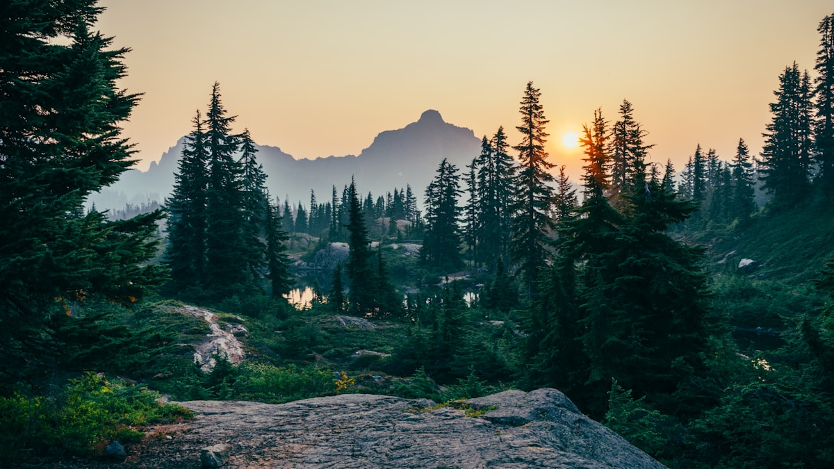 Evergreen forest and mountain lake at golden sunrise light